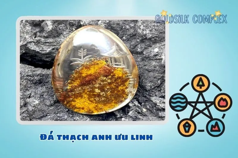 Cách sử dụng và bảo quản đúng cách