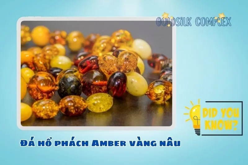 Đá hổ phách Amber vàng nâu là gì? Nguồn gốc và đặc điểm tự nhiên